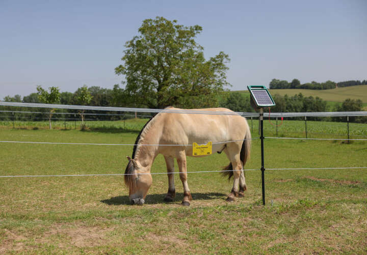 AKO Weidezaunseil PlatinumLine